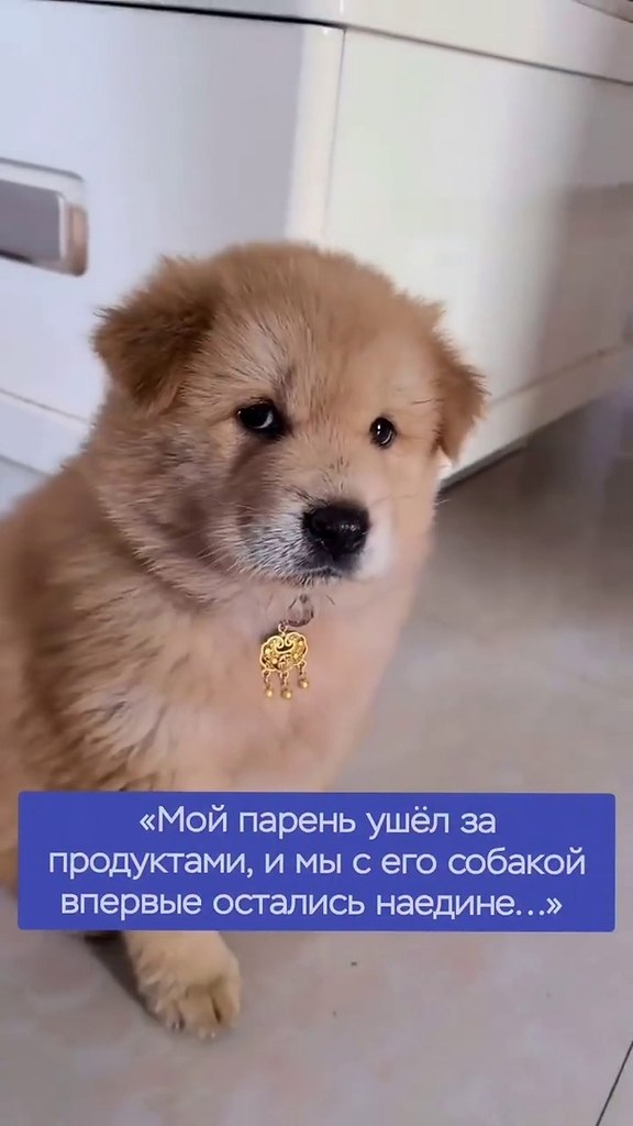  ... - 2