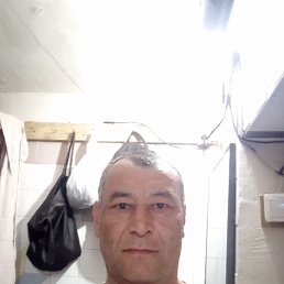 , 53 , 