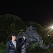 �����, 61 ���, ���