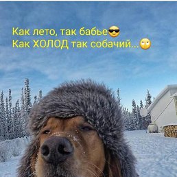 �������, ������-��-����, 36 ���