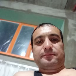 , 37, 