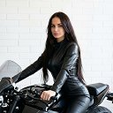 ���� ���������, ������� - ��������� 25 ���� 2026 � ������ ���� ����������