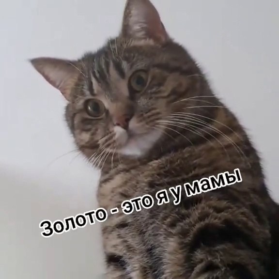  -     - 2