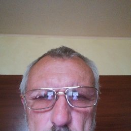 , 52, 