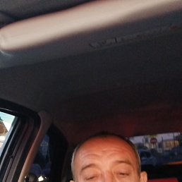 , 48, 