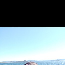 �������, ������, 48 ���