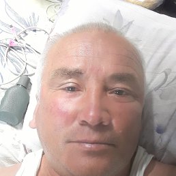 , 51, 