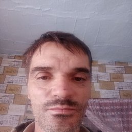 , 42, 