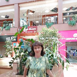 , 67, 