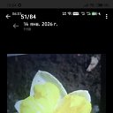 ���� ������ �� ���� ����, ������-��-����, 58 ��� - ��������� 17 ������ 2026 � ������ ���� ����������