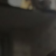 ������, 49 ���, ������