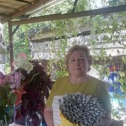Татьяна, 66 лет, Владимир Татьяна, 66 лет, Владимир