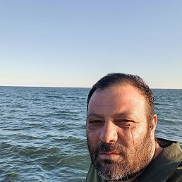 , 44, 