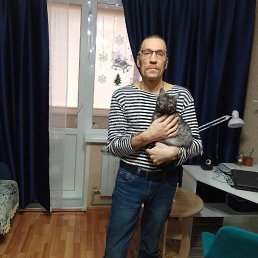, 41, -