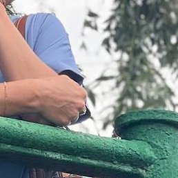 ����, �����-���������, 55 ���