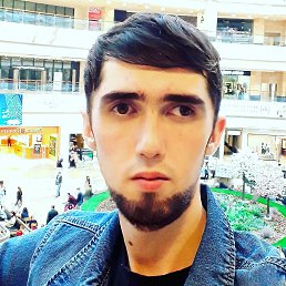 , 26, 