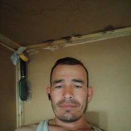 , 31, 