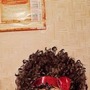 ���� ������, ����-���, 67 ��� - ��������� 29 ����� 2024 � ������ ���� ����������