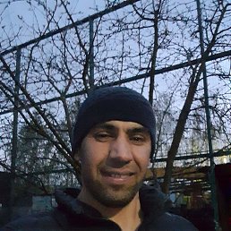 �����, 38 ���, ������