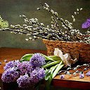 ���� Tatjana, �������� - ��������� 30 ����� 2026 � ������ ���� ����������