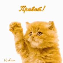 ���� ��������, ������, 70 ��� - ��������� 27 ������� 2023