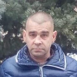 , , 46 