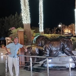 ���� ��������, ������, 40 ��� - ��������� 10 ����� 2026