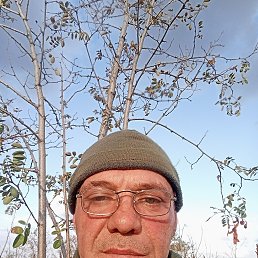 , 50, 