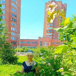 ������, ���������, 46 ���