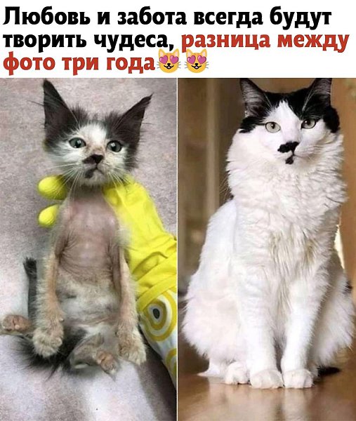 - 6  2024  06:06