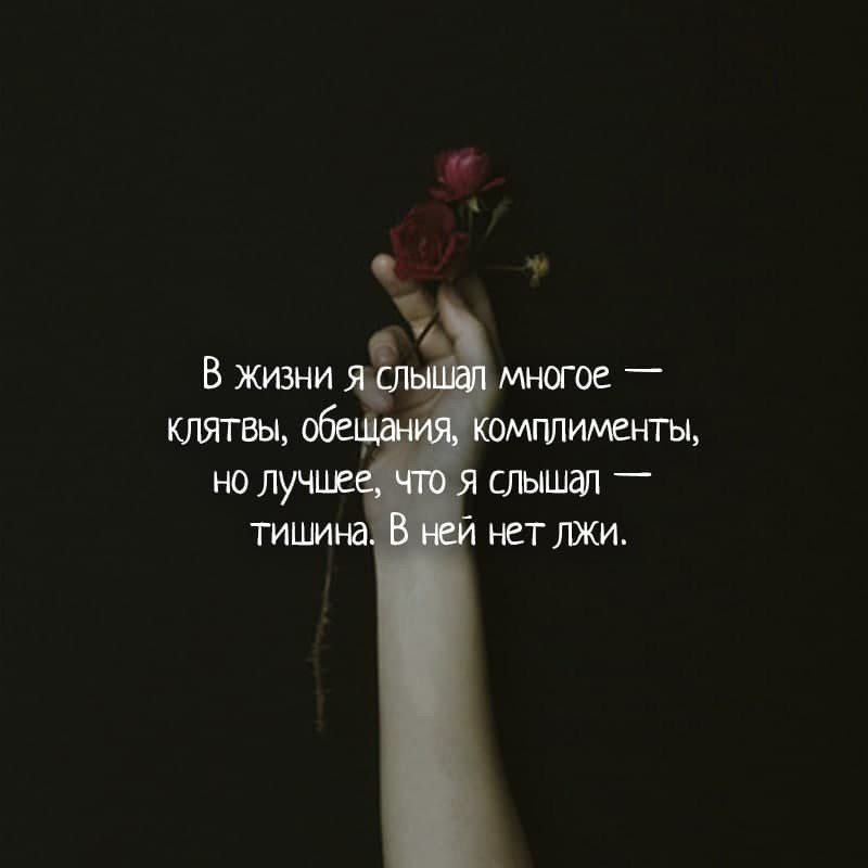 Стихи и цитаты - 28 августа 2025 в 12:19