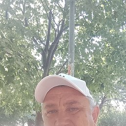 , 46, 