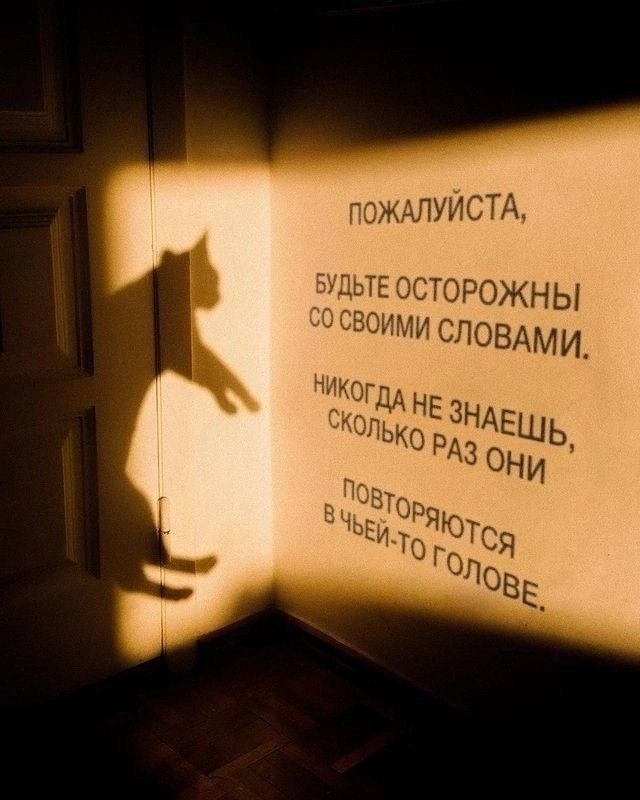   - 12  2024  17:33