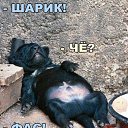 ���� ����, ������-���, 56 ��� - ��������� 30 ������ 2024 � ������ ���� ����������