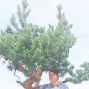 ����. ������. �������. �� ������� ���� ����������