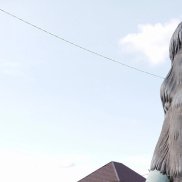 ������, 51 ���, ����