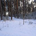  ,  -  17  2025     2024 .