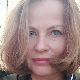 ��������, �����������, 51 ���