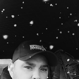 , 41, 