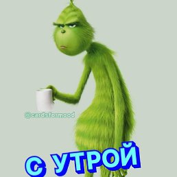 ��������, ����������, 46 ���