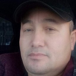 ��������, ������, 41 ���