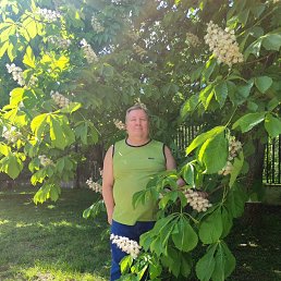, 58, 