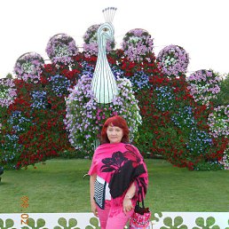 , 64, 