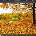 ���� ����, �������������, 56 ��� - ��������� 19 ������ 2023 � ������ ������ ��������