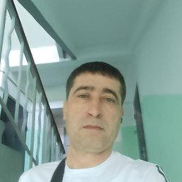 , 46 , 