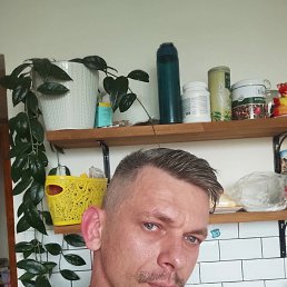 ����, 39 ���, ���������