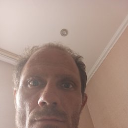 , 36, 