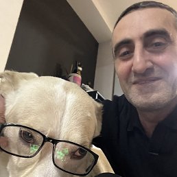 David, 48 ���, ������