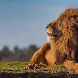 ���� Aleks, �����������, 47 ��� - ��������� 28 ������ 2025